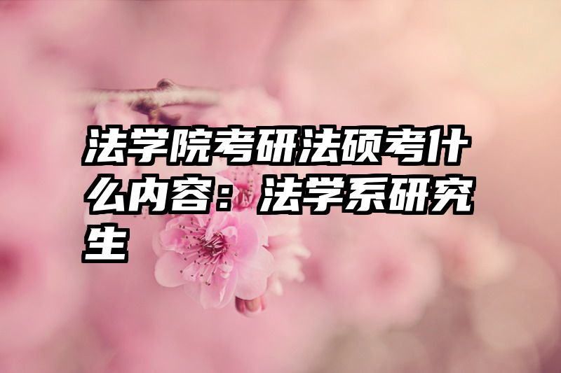 法学院考研法硕考什么内容：法学系研究生