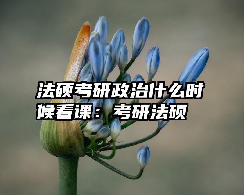 法硕考研政治什么时候看课：考研法硕