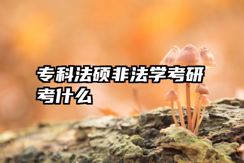 专科法硕非法学考研考什么