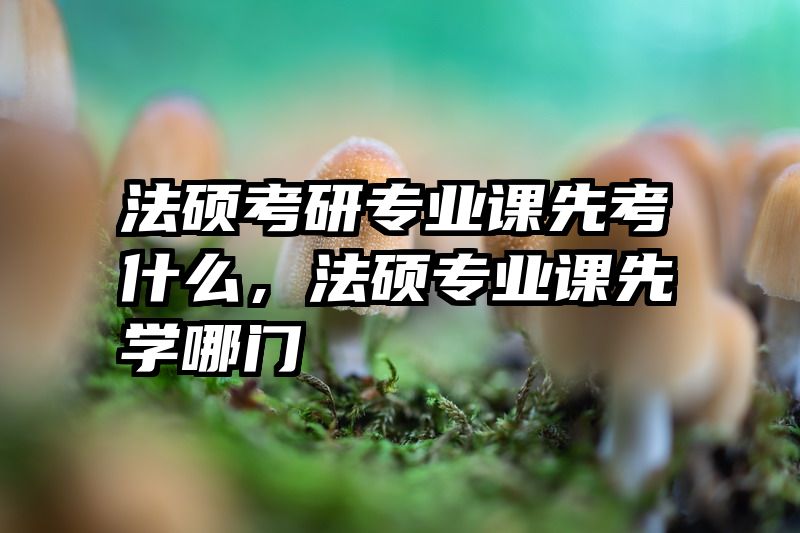 法硕考研专业课先考什么，法硕专业课先学哪门