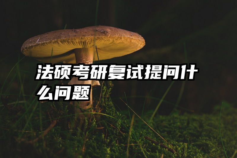 法硕考研复试提问什么问题