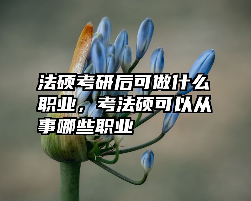 法硕考研后可做什么职业，考法硕可以从事哪些职业
