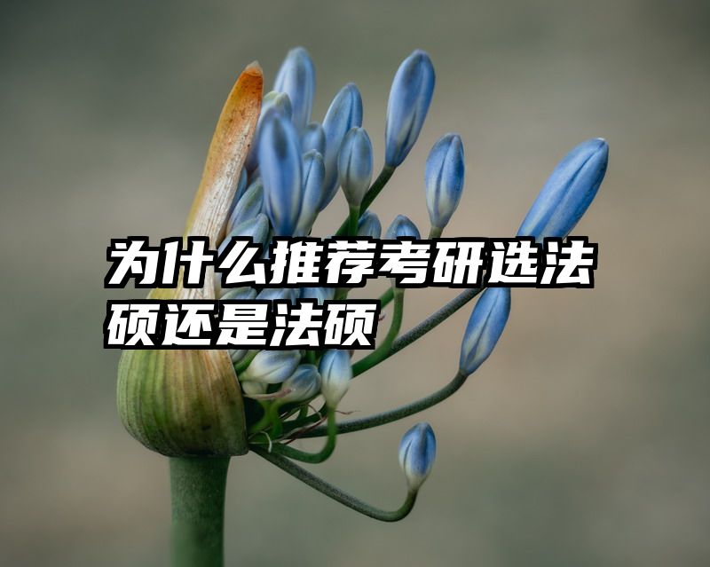 为什么推荐考研选法硕还是法硕