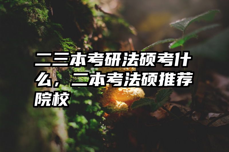 二三本考研法硕考什么，二本考法硕推荐院校