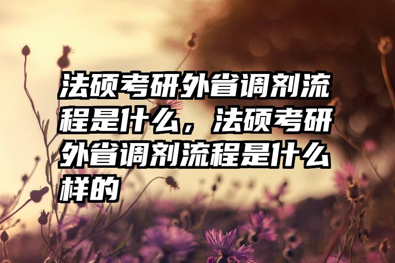 法硕考研外省调剂流程是什么，法硕考研外省调剂流程是什么样的