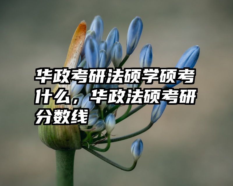 华政考研法硕学硕考什么，华政法硕考研分数线