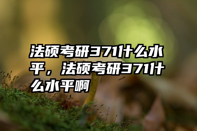 法硕考研371什么水平，法硕考研371什么水平啊