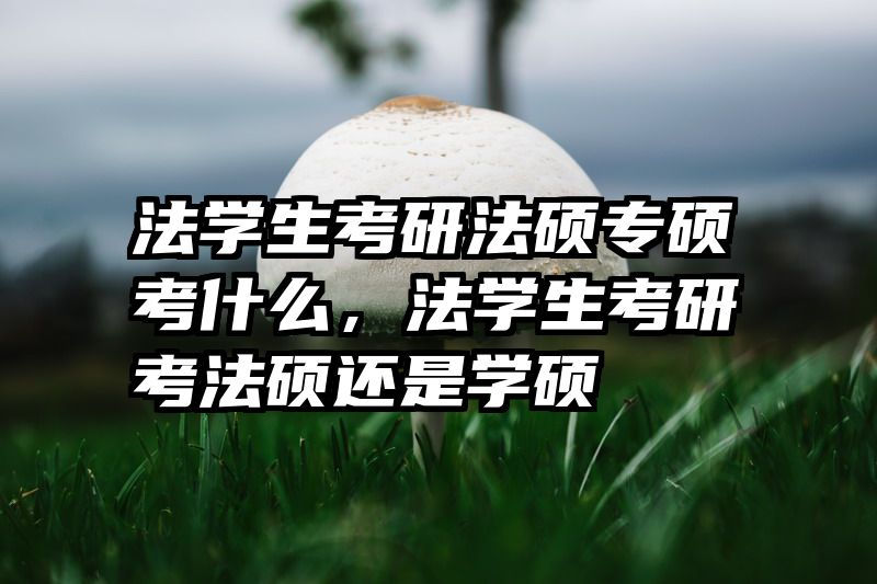 法学生考研法硕专硕考什么，法学生考研考法硕还是学硕