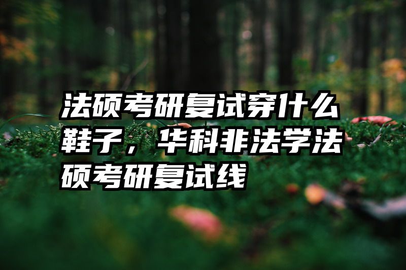 法硕考研复试穿什么鞋子，华科非法学法硕考研复试线