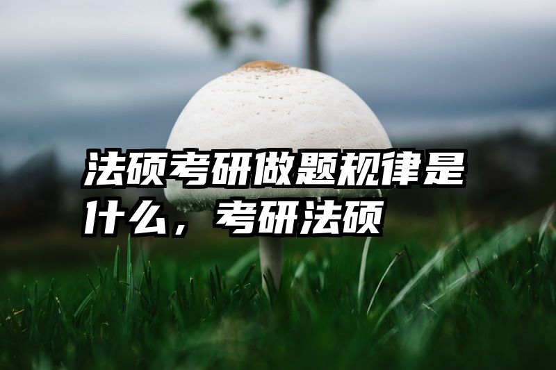 法硕考研做题规律是什么，考研法硕