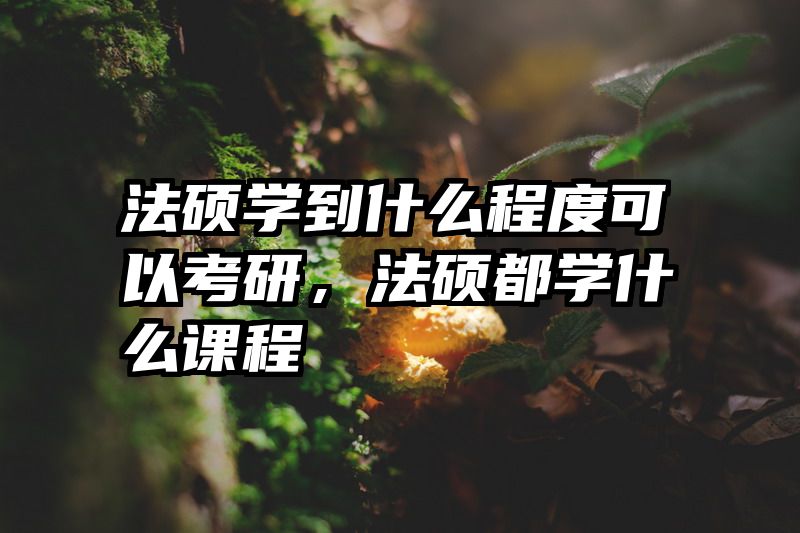 法硕学到什么程度可以考研，法硕都学什么课程