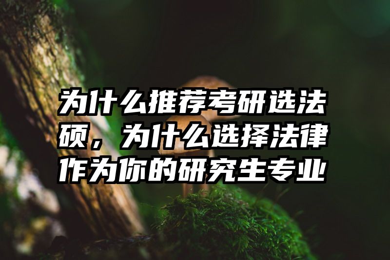 为什么推荐考研选法硕，为什么选择法律作为你的研究生专业