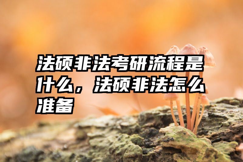 法硕非法考研流程是什么，法硕非法怎么准备