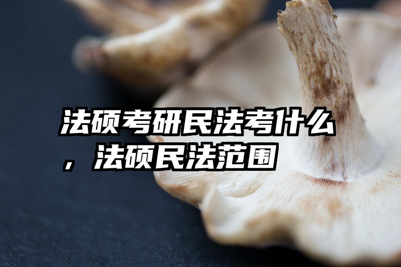 法硕考研民法考什么，法硕民法范围