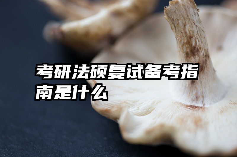 考研法硕复试备考指南是什么