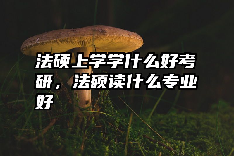 法硕上学学什么好考研，法硕读什么专业好