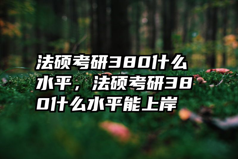 法硕考研380什么水平，法硕考研380什么水平能上岸