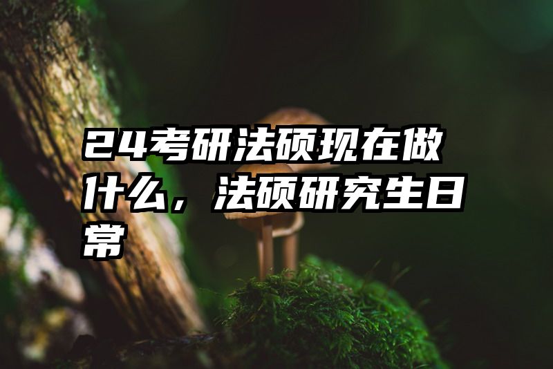 24考研法硕现在做什么，法硕研究生日常