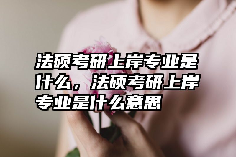 法硕考研上岸专业是什么，法硕考研上岸专业是什么意思