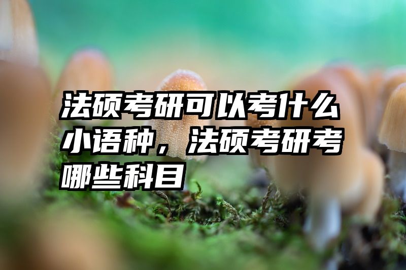 法硕考研可以考什么小语种，法硕考研考哪些科目