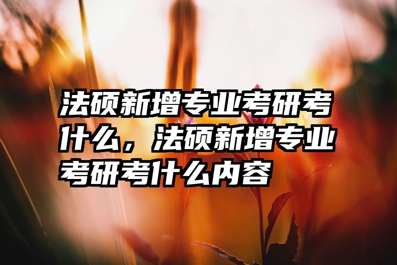 法硕新增专业考研考什么，法硕新增专业考研考什么内容