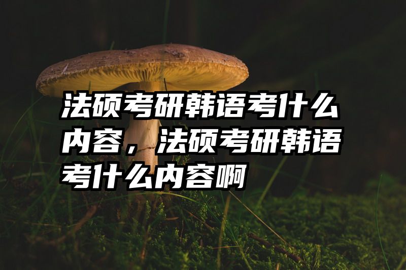 法硕考研韩语考什么内容，法硕考研韩语考什么内容啊