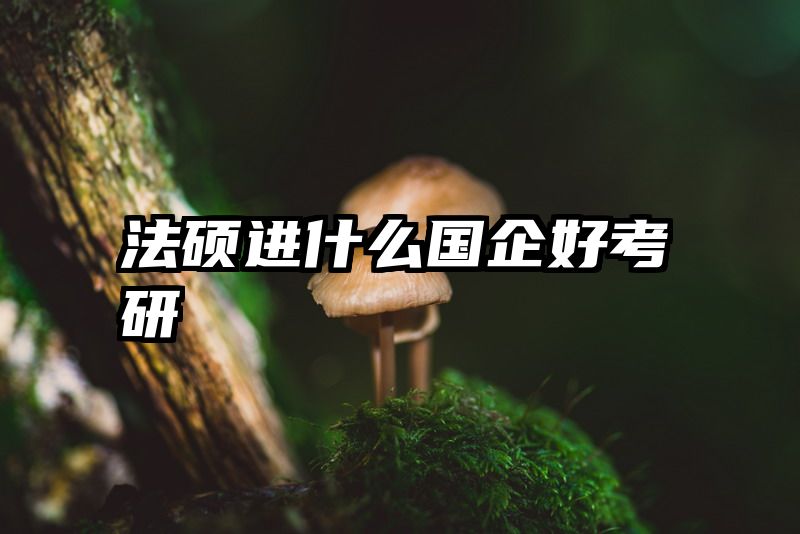 法硕进什么国企好考研