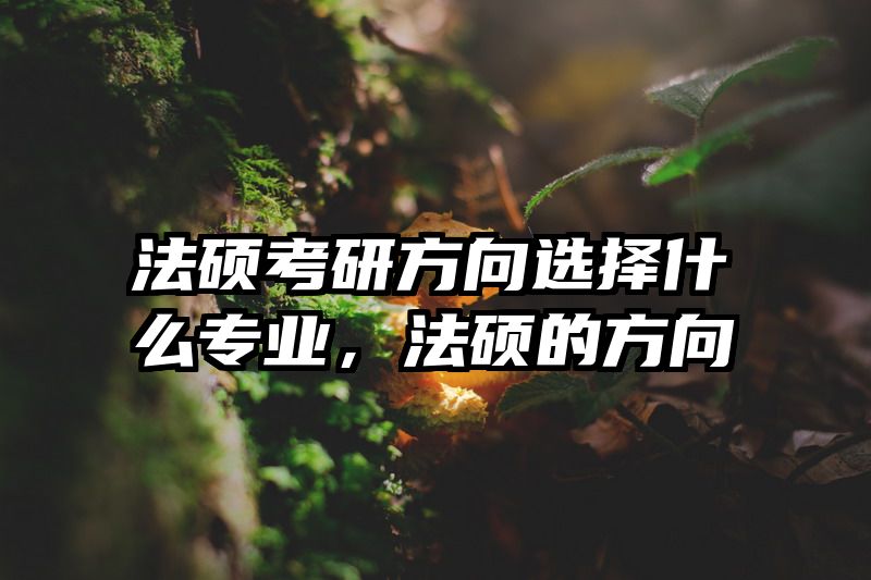 法硕考研方向选择什么专业，法硕的方向