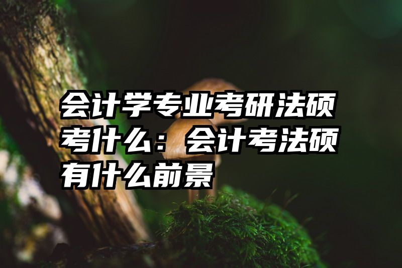 会计学专业考研法硕考什么：会计考法硕有什么前景