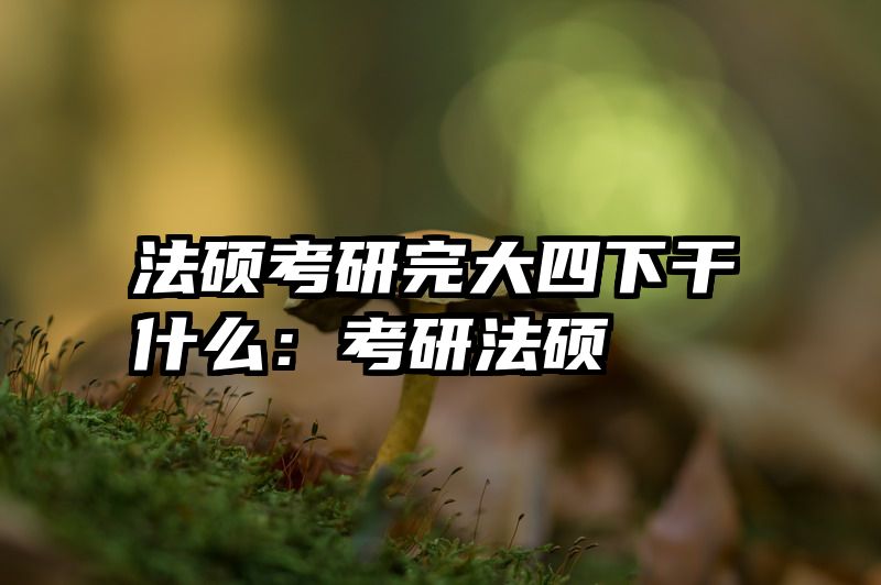 法硕考研完大四下干什么：考研法硕