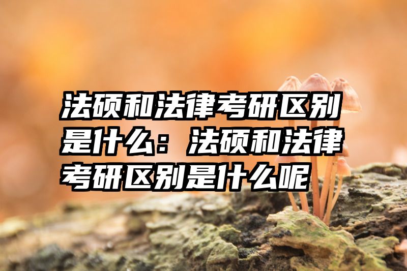 法硕和法律考研区别是什么：法硕和法律考研区别是什么呢