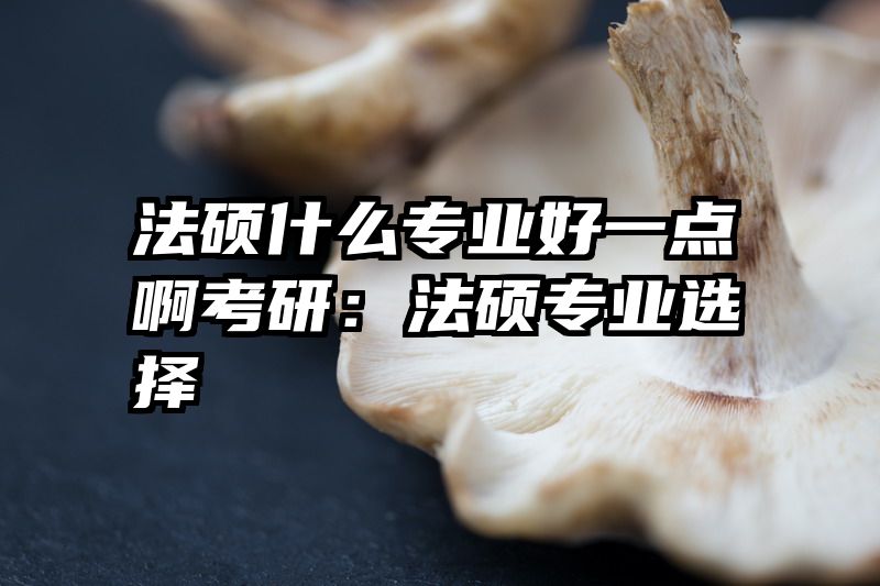 法硕什么专业好一点啊考研：法硕专业选择