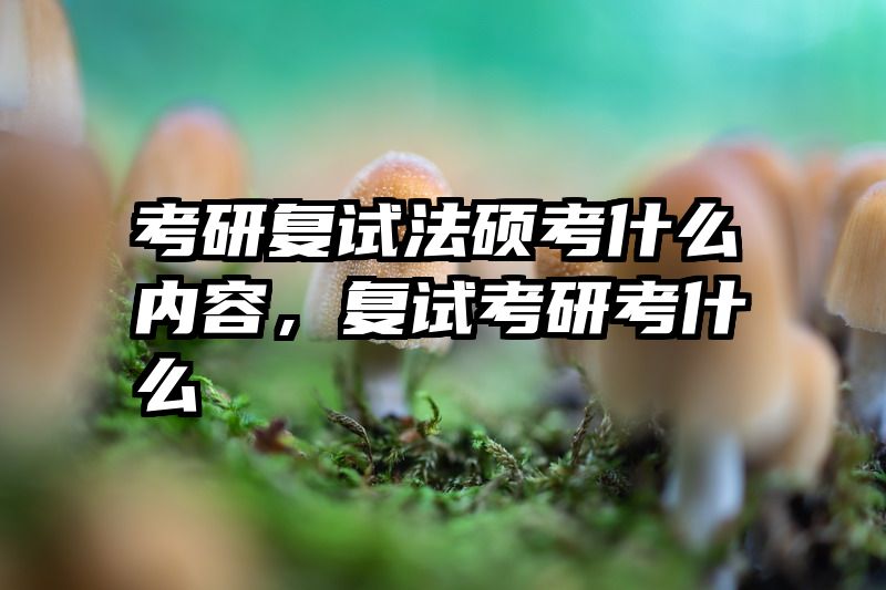 考研复试法硕考什么内容，复试考研考什么