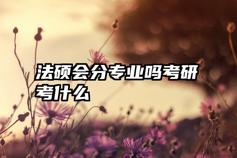 法硕会分专业吗考研考什么