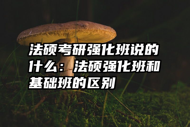 法硕考研强化班说的什么：法硕强化班和基础班的区别