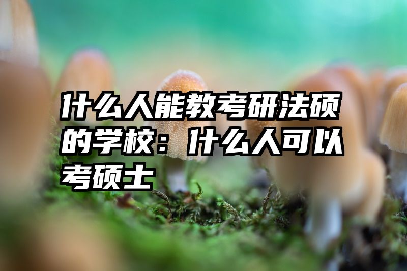 什么人能教考研法硕的学校：什么人可以考硕士