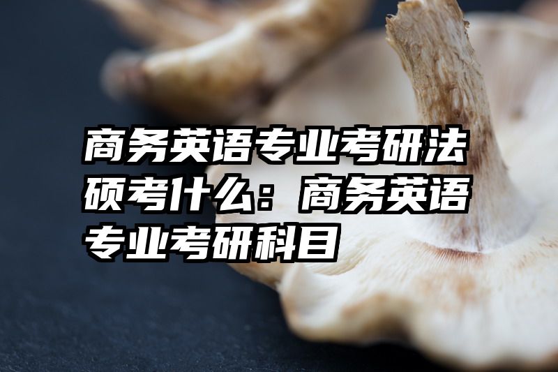 商务英语专业考研法硕考什么：商务英语专业考研科目