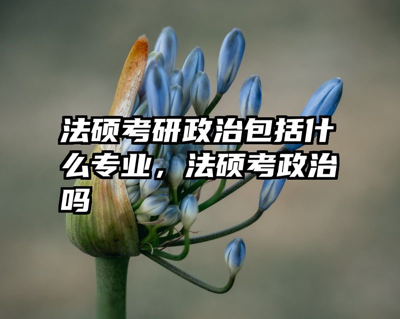法硕考研政治包括什么专业，法硕考政治吗