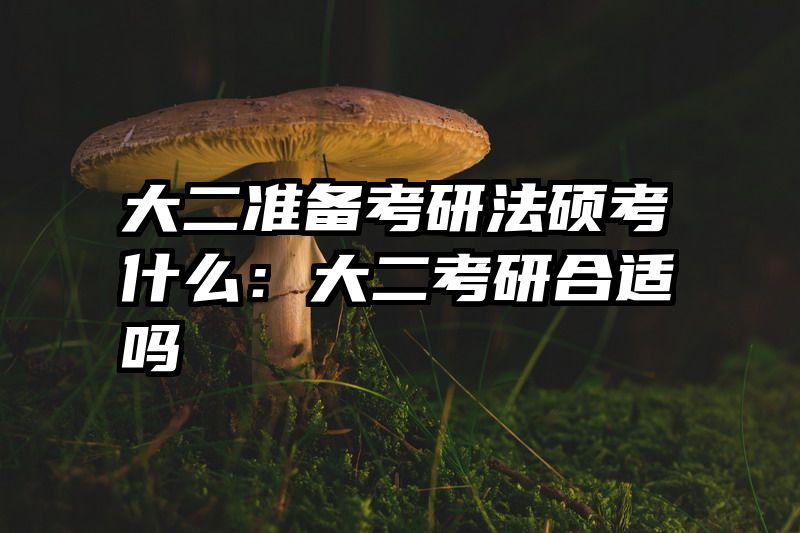 大二准备考研法硕考什么：大二考研合适吗