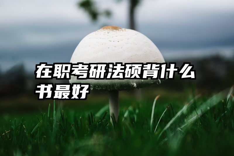 在职考研法硕背什么书最好