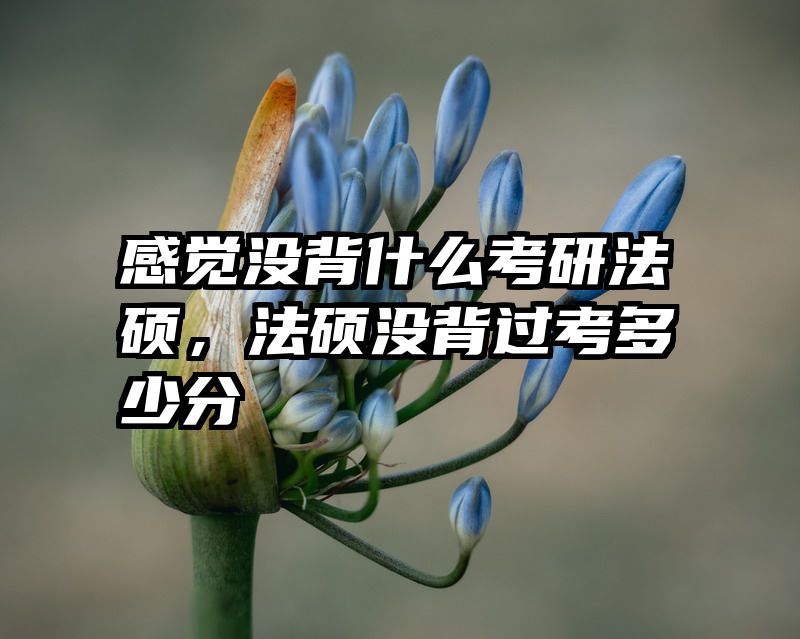 感觉没背什么考研法硕，法硕没背过考多少分