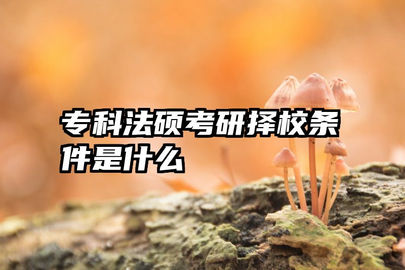 专科法硕考研择校条件是什么