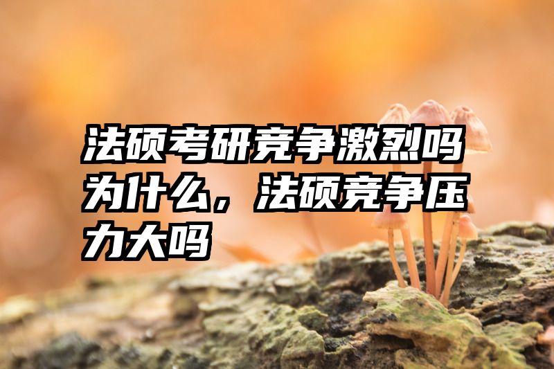 法硕考研竞争激烈吗为什么，法硕竞争压力大吗
