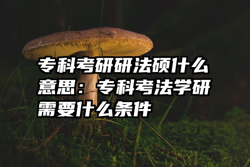 专科考研研法硕什么意思：专科考法学研需要什么条件