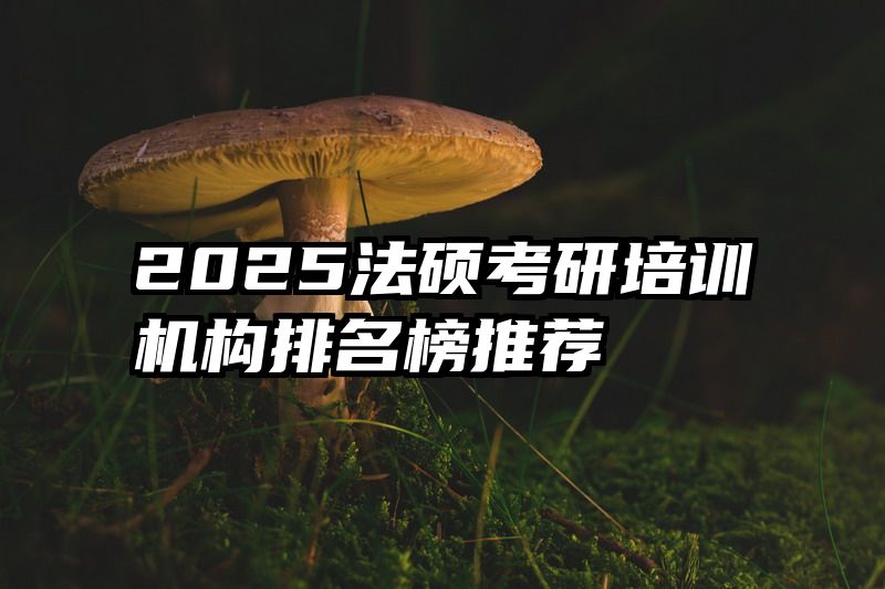 2025法硕考研培训机构排名榜推荐