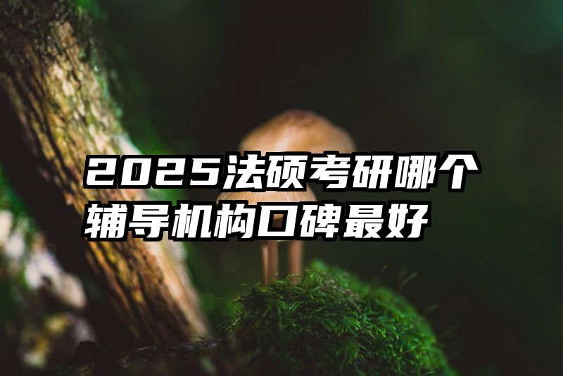 2025法硕考研哪个辅导机构口碑最好