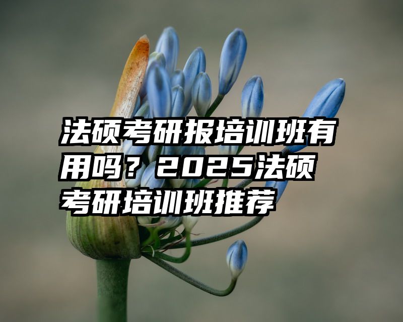 法硕考研报培训班有用吗？2025法硕考研培训班推荐