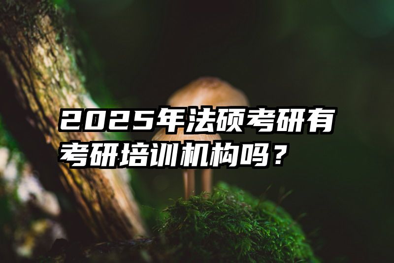 2025年法硕考研有考研培训机构吗？