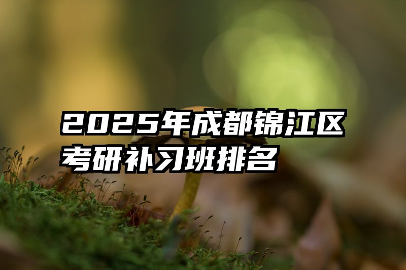 2025年成都锦江区考研补习班排名