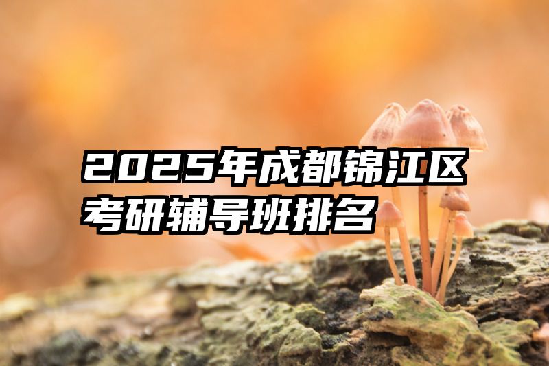 2025年成都锦江区考研辅导班排名